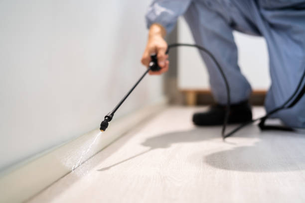 Licensed Pest Control service in Rancho Santa Margarita, CA - Show Me Pest Control