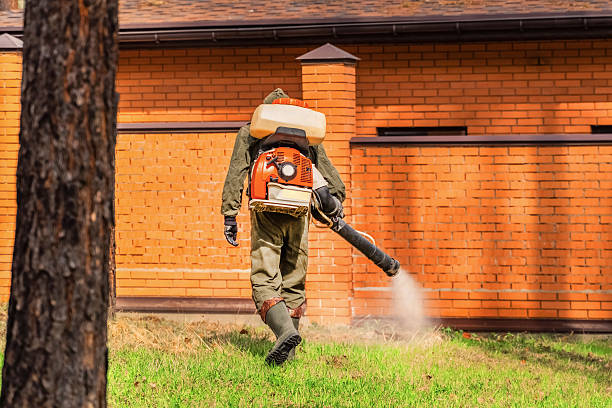 Bed Bug Clearance Verification and Documentation in Rancho Santa Margarita